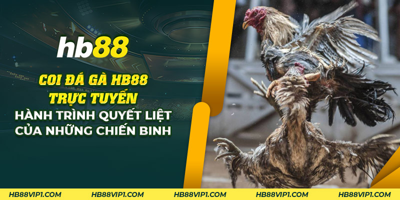 26 coi da ga hd88 truc tuyen hanh trinh quyet liet cua nhung chien binh