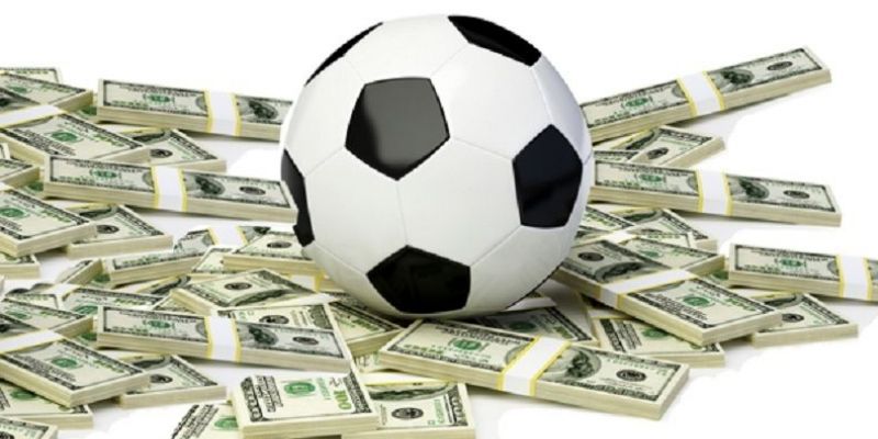 Trang cá độ bóng đá HB88: Trải nghiệm cá độ bóng đá đỉnh cao 3 Cách đăng ký tài khoản trên trang cá độ bóng đá