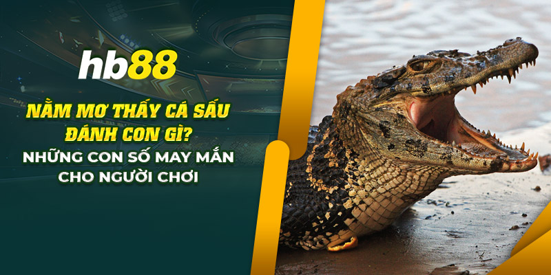 1 nam mo thay ca sau danh con gi nhung con so may man cho nguoi choi 1