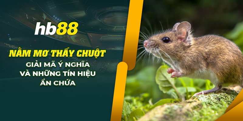 15 nam mo thay chuot giai ma y nghia va nhung tin hieu an chua