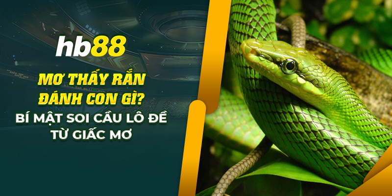 2 mo thay ran danh con gi bi mat soi cau lo de tu giac mo