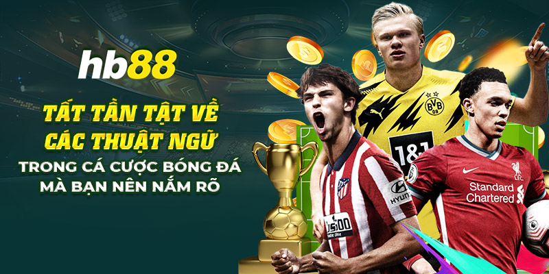 Tất tần tật về các thuật ngữ trong cá cược bóng đá cần biết 4 23 tat tan tat ve cac thuat ngu trong ca cuoc bong da ma ban nen nam ro