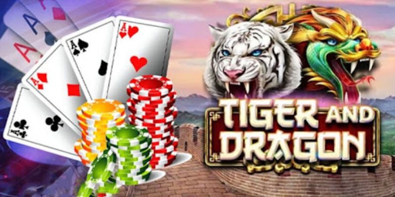 Những mẹo đánh rồng hổ thắng lớn tại nhà cái