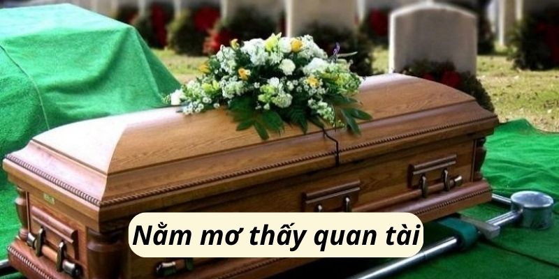 nam mo thay quan tai 1